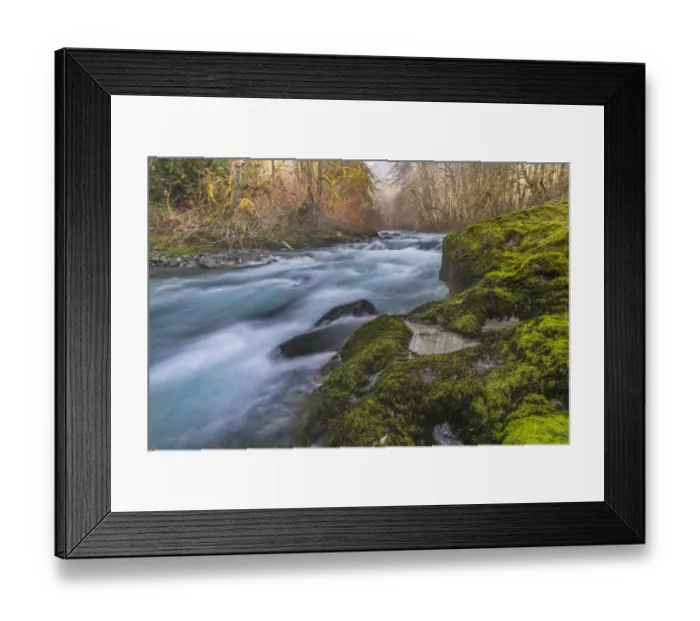Framed Print : USA, Washington State, Olympic National Forest. Moss-covered river bank. Credit as Framed Print : USA, Washington State, Olympic National Forest. Moss-covered river bank. Credit as