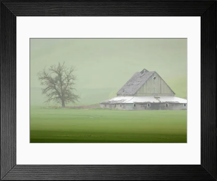 Framed Print : USA, Washington State, Palouse. Barn and tree in fog