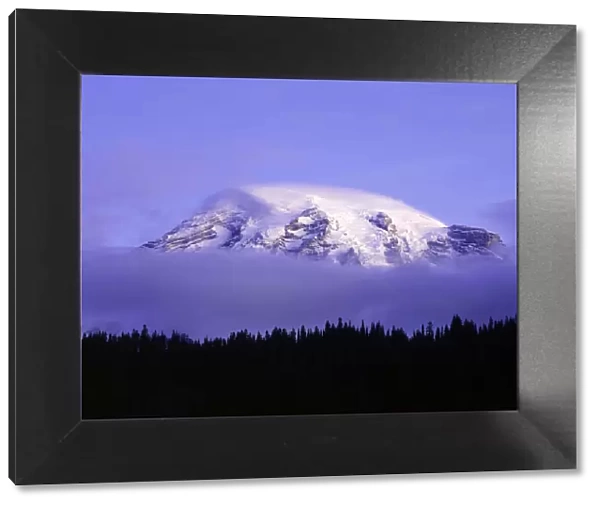 USA, Washington, Mt. Rainier National Park. Clouds on Mt Rainier and forest silhouette