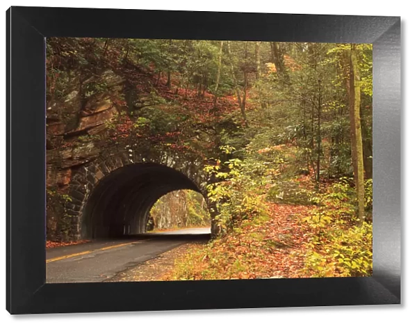 USA, Tennesse. Tunnel along the road to Cades Cove in the fall