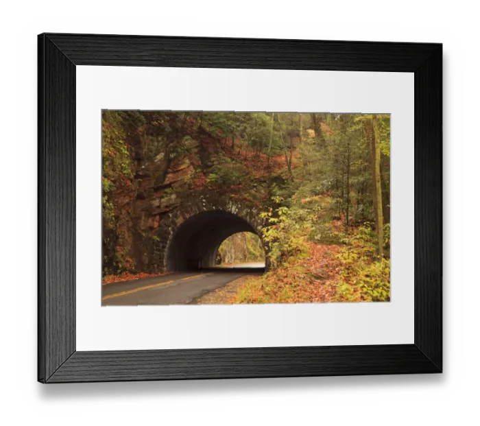 Framed Print : USA, Tennesse. Tunnel along the road to Cades Cove in the fall