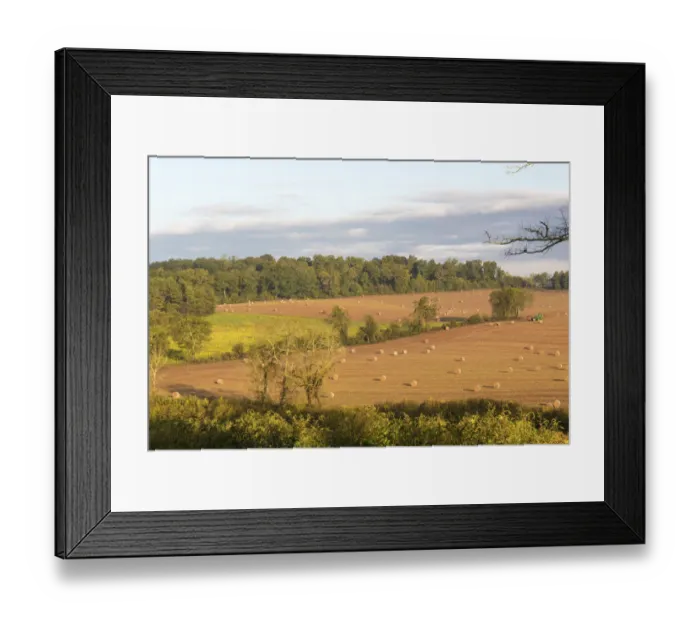 Framed Print : USA, Tennessee. Pastoral farm scene in morning light. Long shadows from hay bales Framed Print : USA, Tennessee. Pastoral farm scene in morning light. Long shadows from hay bales