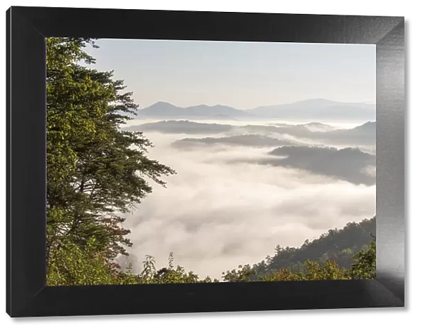 USA, Tennessee, Great Smoky Mountains National Park