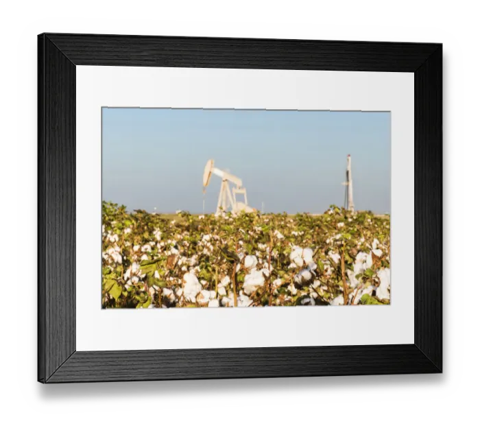 Framed Print : USA, Texas. Martin County, Pumpjack on cotton field Framed Print : USA, Texas. Martin County, Pumpjack on cotton field
