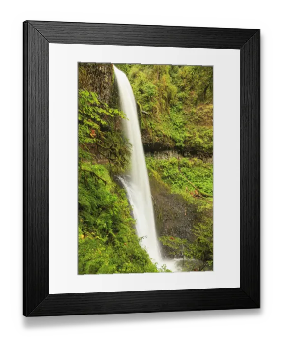 Framed Print : Trail of Ten Falls, Silver Falls State Park, near Silverton, Oregon Framed Print : Trail of Ten Falls, Silver Falls State Park, near Silverton, Oregon