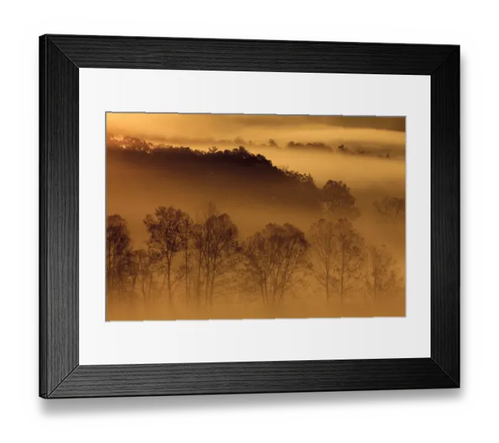 Framed Print : USA, Tennessee. Early morning fog in the Smoky Mountains Framed Print : USA, Tennessee. Early morning fog in the Smoky Mountains
