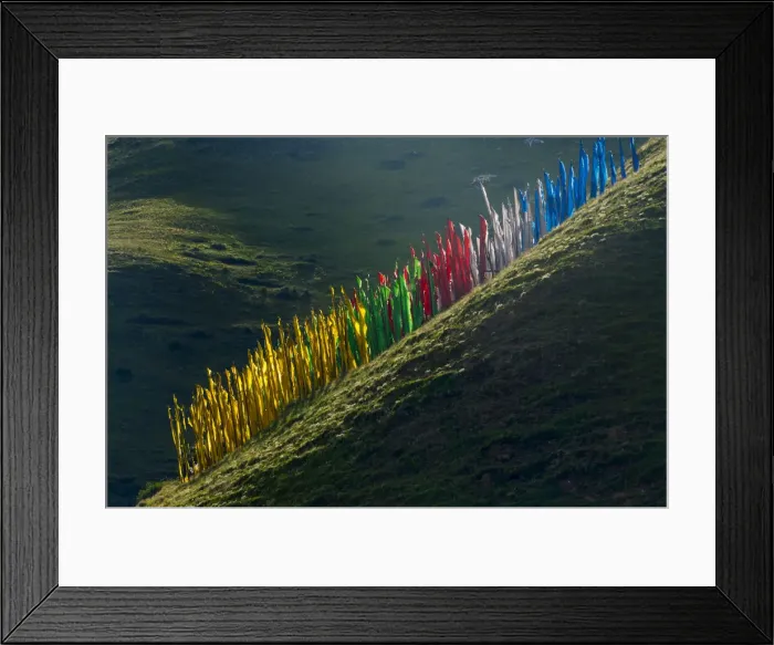 Framed Print : Prayer flags on hillside, Tagong, western Sichuan, China