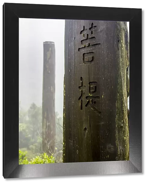Tall wooden steles at the Wisdom Path, Lantau Island, Hong Kong, China
