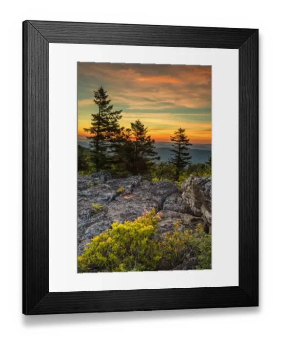 Framed Print : USA, West Virginia, Blackwater Falls State Park. Tree and landscape at sunset. Credit as Framed Print : USA, West Virginia, Blackwater Falls State Park. Tree and landscape at sunset. Credit as