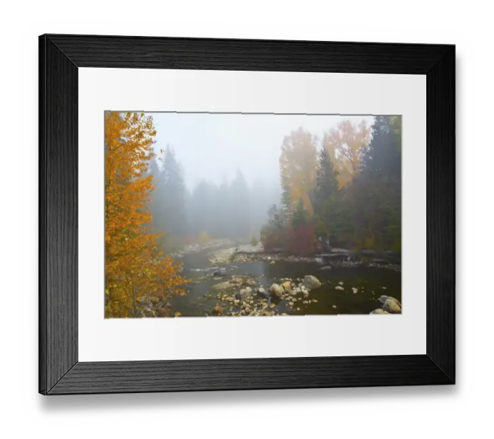 Framed Print : Autumn, Nason Creek in fog, Wenatchee National Forest, Washington State, USA Framed Print : Autumn, Nason Creek in fog, Wenatchee National Forest, Washington State, USA