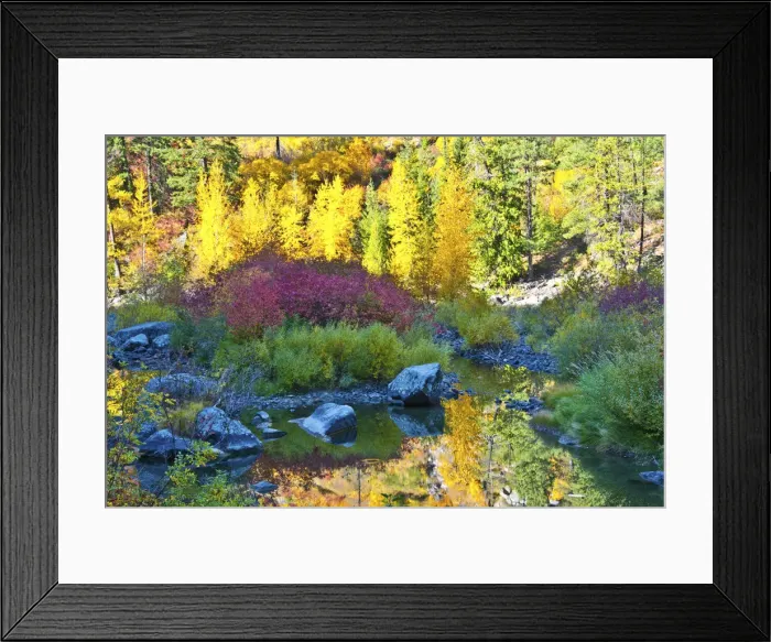 Framed Print : Autumn foliage, Tumwater Canyon, Wenatchee National Forest, Washington State, USA Framed Print : Autumn foliage, Tumwater Canyon, Wenatchee National Forest, Washington State, USA