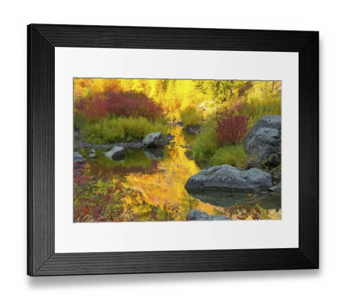 Framed Print : Autumn foliage, Tumwater Canyon, Wenatchee National Forest, Washington State, USA