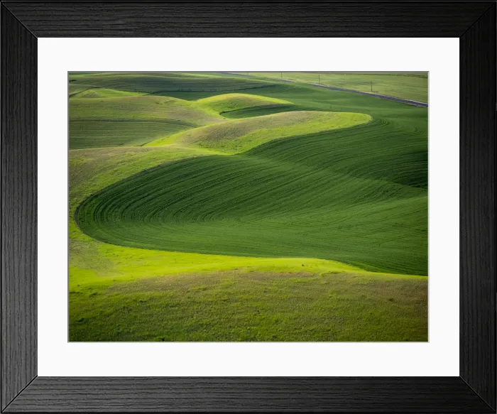 Framed Print : USA, Washington State. Aerial of Palouse Region Framed Print : USA, Washington State. Aerial of Palouse Region