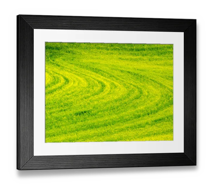 Framed Print : USA, Washington State, Palouse Region. Patterns in Spring Canola field