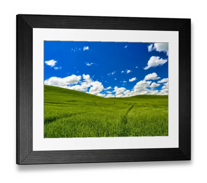 Framed Print : USA, Washington State, Palouse Region. Patterns in Spring wheat fields Framed Print : USA, Washington State, Palouse Region. Patterns in Spring wheat fields