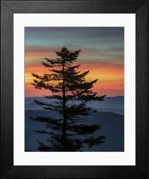 Framed Print : USA, West Virginia, Blackwater Falls State Park. Tree and landscape at sunset. Credit as Framed Print : USA, West Virginia, Blackwater Falls State Park. Tree and landscape at sunset. Credit as
