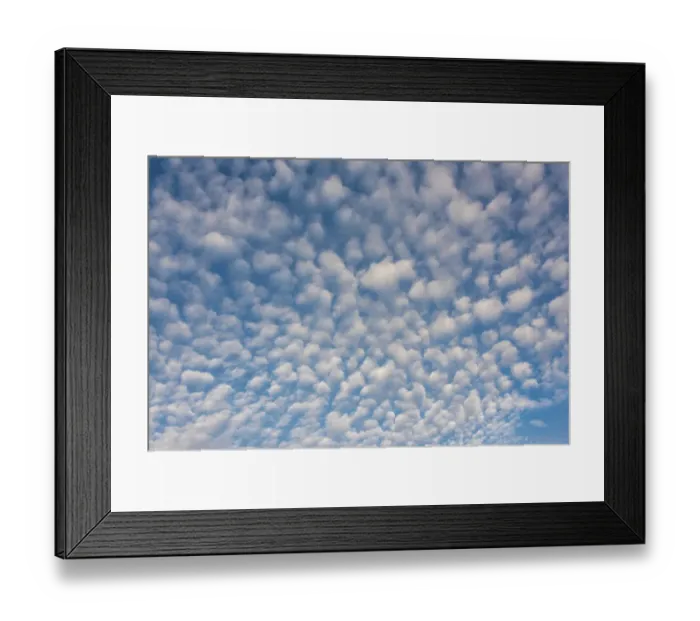 Framed Print : USA, Washington State. Mackerel sky makes compelling patterns in bright blue sky Framed Print : USA, Washington State. Mackerel sky makes compelling patterns in bright blue sky