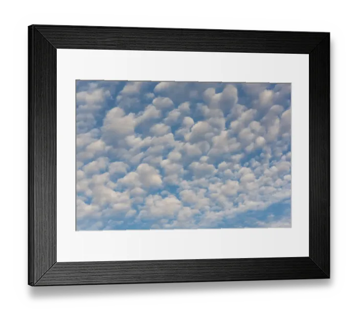 Framed Print : USA, Washington State. Mackerel sky makes compelling patterns in bright blue sky Framed Print : USA, Washington State. Mackerel sky makes compelling patterns in bright blue sky