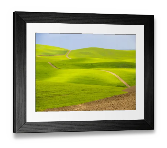 Framed Print : USA, Washington State, Palouse Region. Backcountry road leading through a field of wheat
