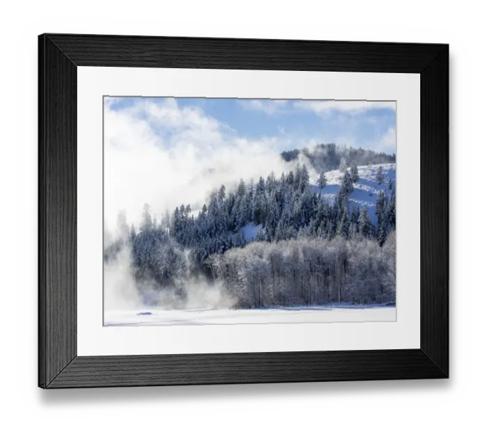 Framed Print : Trees in fog with morning light