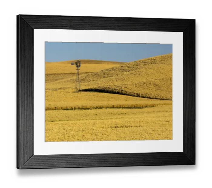 Framed Print : USA, Washington State, Palouse Region. Windmill in fields during harvest Framed Print : USA, Washington State, Palouse Region. Windmill in fields during harvest