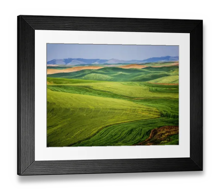 Framed Print : USA, Washington State. Aerial of Palouse Region Framed Print : USA, Washington State. Aerial of Palouse Region