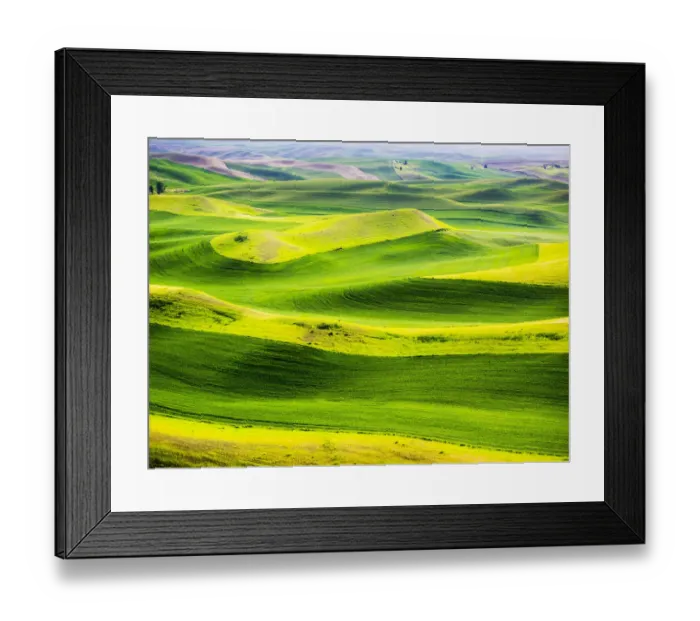 Framed Print : USA, Washington State. Aerial of Palouse Region Framed Print : USA, Washington State. Aerial of Palouse Region