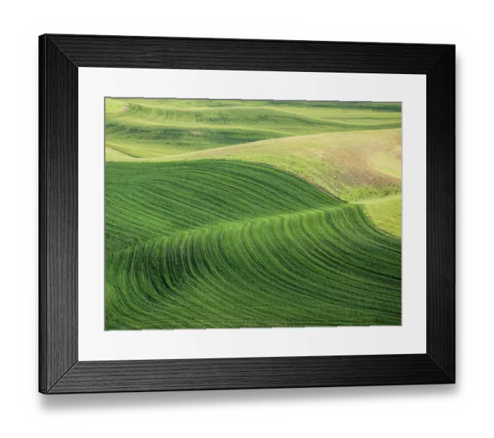 Framed Print : USA, Washington State. Aerial of Palouse Region Framed Print : USA, Washington State. Aerial of Palouse Region