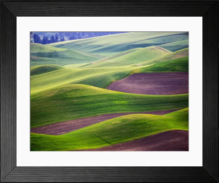 Framed Print : Aerial view of Palouse Region Framed Print : Aerial view of Palouse Region