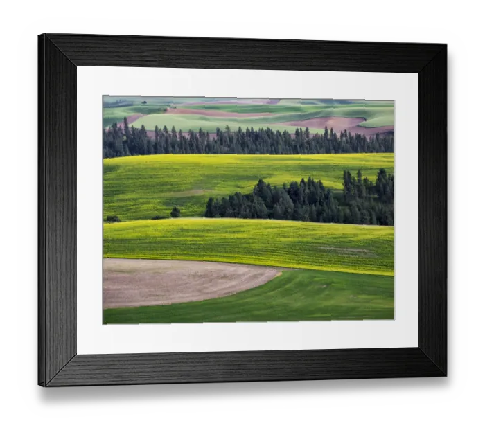 Framed Print : USA, Washington State. Aerial of Palouse Region Framed Print : USA, Washington State. Aerial of Palouse Region