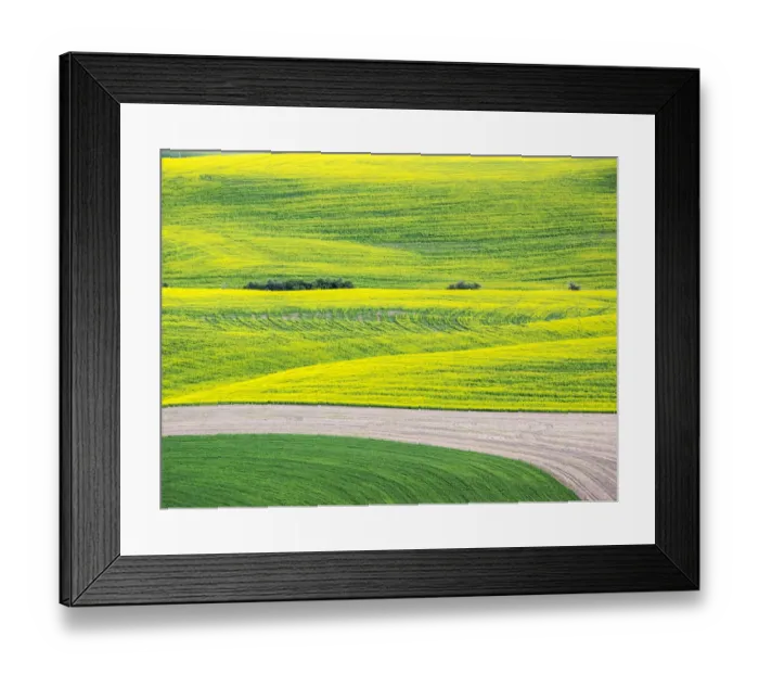 Framed Print : USA, Washington State. Aerial of Palouse Region Framed Print : USA, Washington State. Aerial of Palouse Region