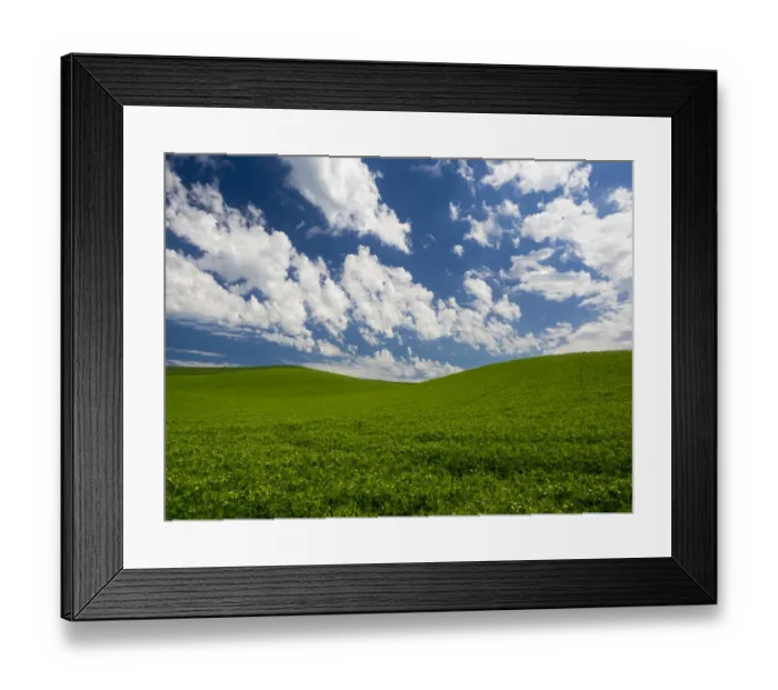Framed Print : Spring fields of peas Framed Print : Spring fields of peas