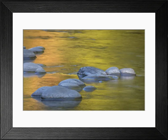 Framed Print : USA, Washington State, Olympic National Park. Golden river reflections from sunlit maple trees