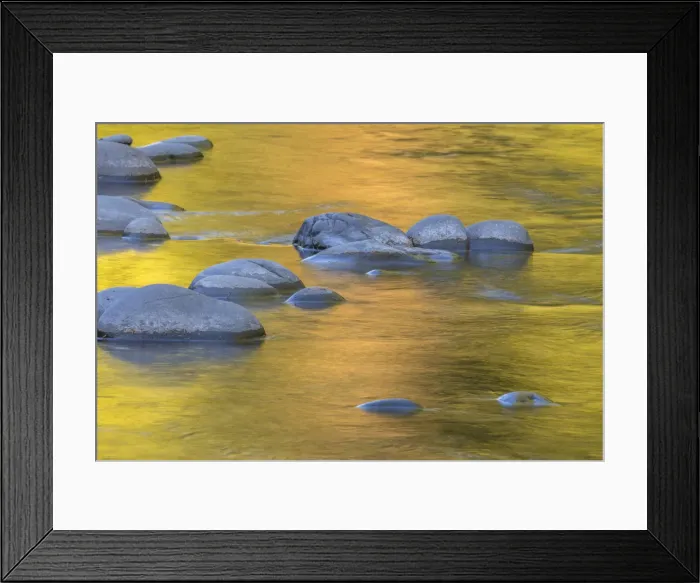 Framed Print : USA, Washington State, Olympic National Park. Golden river reflections from sunlit maple trees Framed Print : USA, Washington State, Olympic National Park. Golden river reflections from sunlit maple trees