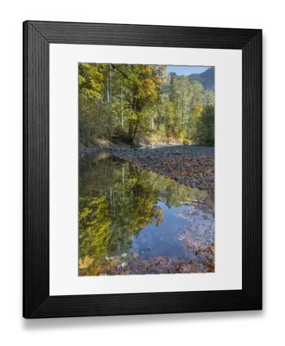 Framed Print : USA, Washington State, Olympic National Forest. Fall forest colors reflect in water