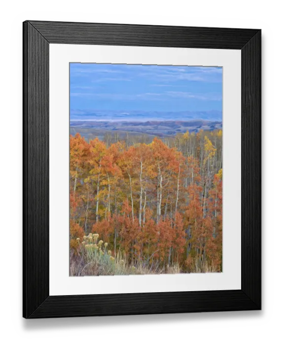 Framed Print : USA, Utah. Logan Canyon, colorful aspens Framed Print : USA, Utah. Logan Canyon, colorful aspens