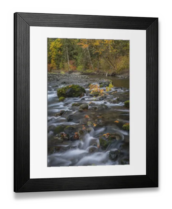 Framed Print : USA, Washington State, Olympic National Forest. Fall forest colors and river. Credit as Framed Print : USA, Washington State, Olympic National Forest. Fall forest colors and river. Credit as