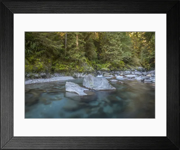 Framed Print : USA, Washington State, Olympic National Park. Quinault River landscape. Credit as Framed Print : USA, Washington State, Olympic National Park. Quinault River landscape. Credit as
