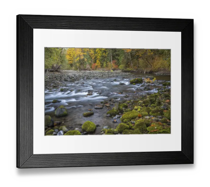 Framed Print : USA, Washington State, Olympic National Forest. Fall forest colors river. Credit as Framed Print : USA, Washington State, Olympic National Forest. Fall forest colors river. Credit as