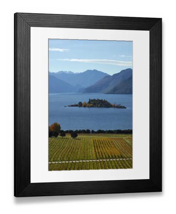 Framed Print : Rippon Vineyard and Lake Wanaka, Otago, South Island, New Zealand Framed Print : Rippon Vineyard and Lake Wanaka, Otago, South Island, New Zealand