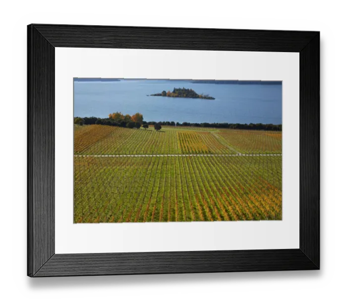 Framed Print : Rippon Vineyard and Lake Wanaka, Otago, South Island, New Zealand