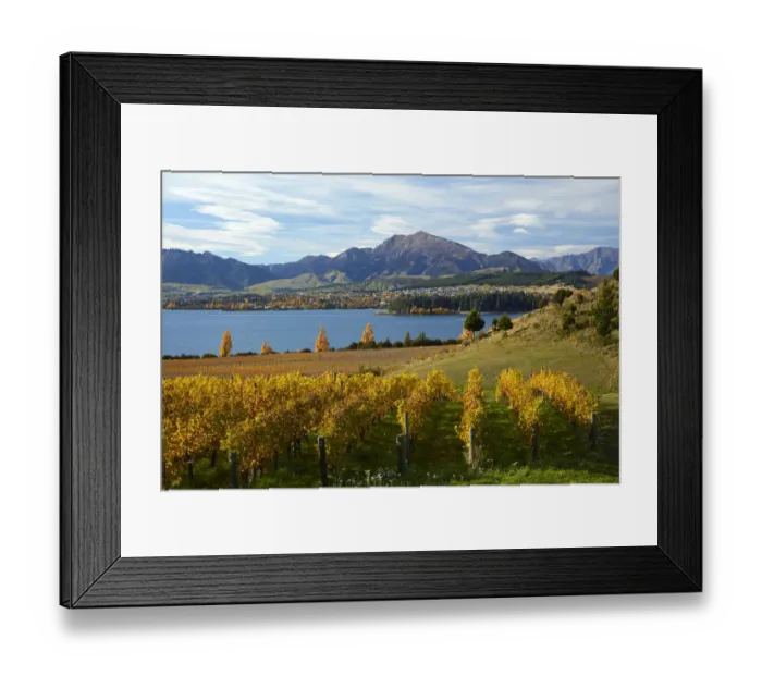 Framed Print : Rippon Vineyard and Lake Wanaka, Otago, South Island, New Zealand Framed Print : Rippon Vineyard and Lake Wanaka, Otago, South Island, New Zealand