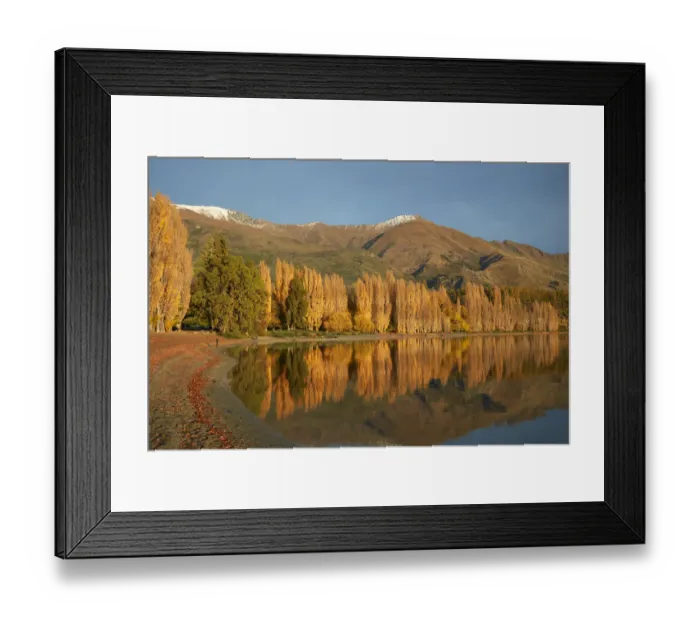 Framed Print : Poplar Trees and Lake Wanaka, Otago, South Island, New Zealand