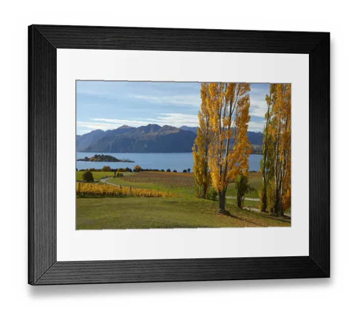 Framed Print : Rippon Vineyard and Lake Wanaka, Otago, South Island, New Zealand Framed Print : Rippon Vineyard and Lake Wanaka, Otago, South Island, New Zealand
