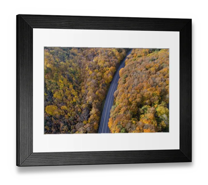 Framed Print : Autumn color, Manuka Gorge, Otago, South Island, New Zealand Framed Print : Autumn color, Manuka Gorge, Otago, South Island, New Zealand