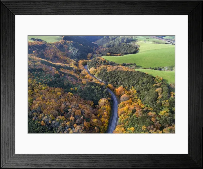 Framed Print : Autumn color, Manuka Gorge, Otago, South Island, New Zealand Framed Print : Autumn color, Manuka Gorge, Otago, South Island, New Zealand