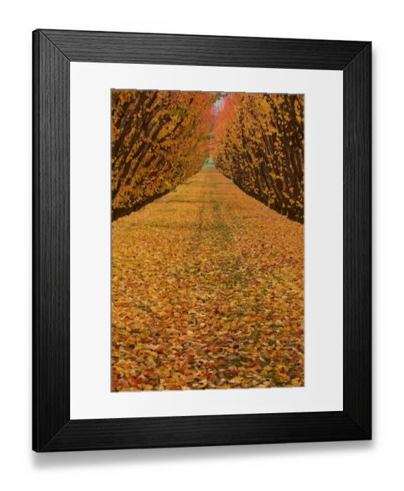 Framed Print : Orchard, Cromwell, Central Otago, South Island, New Zealand Framed Print : Orchard, Cromwell, Central Otago, South Island, New Zealand