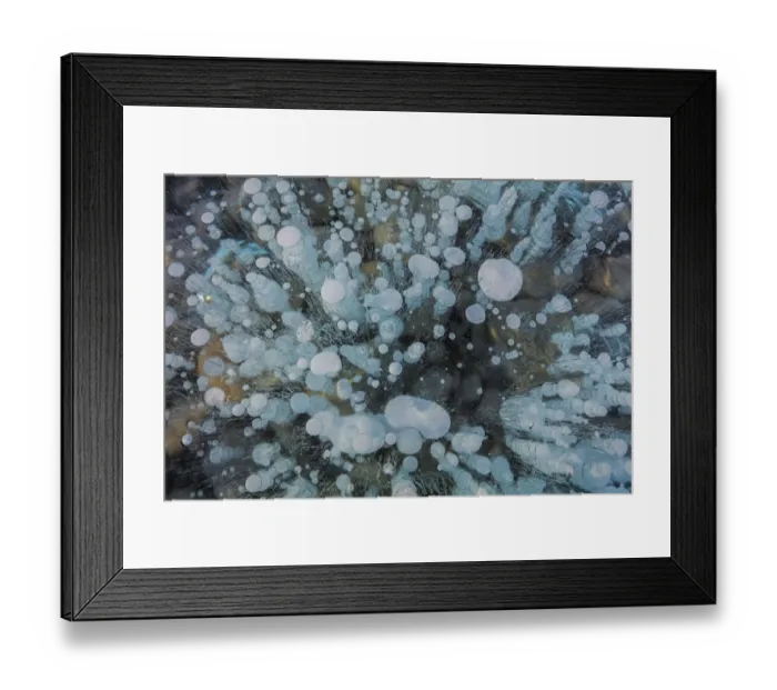 Framed Print : Methane ice bubbles under clear ice on Abraham Lake near Nordegg, Alberta, Canada Framed Print : Methane ice bubbles under clear ice on Abraham Lake near Nordegg, Alberta, Canada