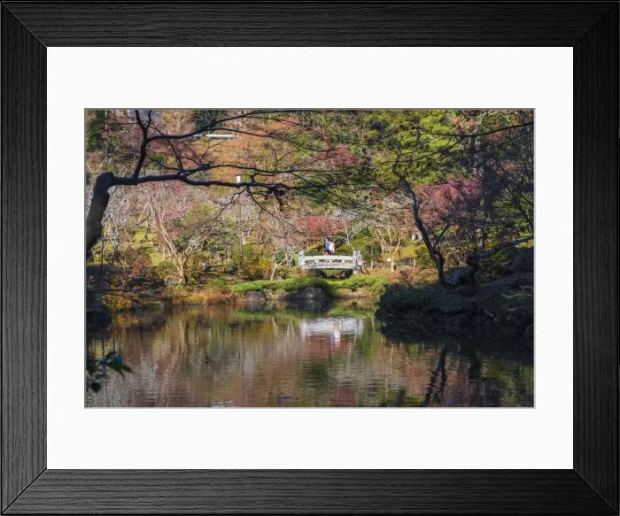 Framed Print : Couple walking across a bridge over a pond in the Narita Temple Garden