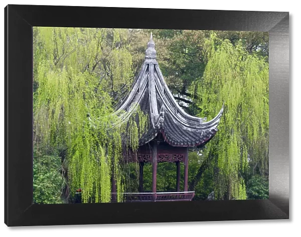 Pavilion with willow trees in Xiaolianzhuang Resort, Nanxun Ancient Town, Zhejiang Province